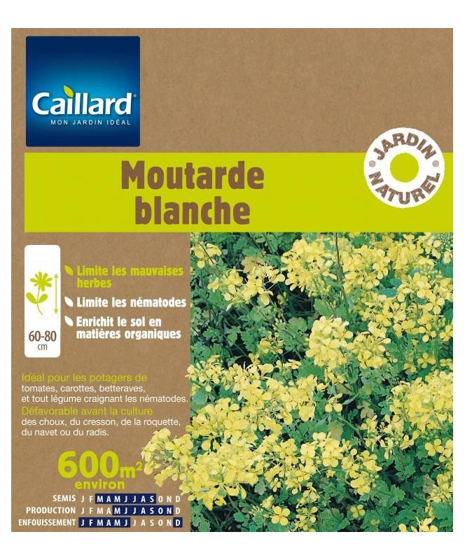 Moutarde blanche