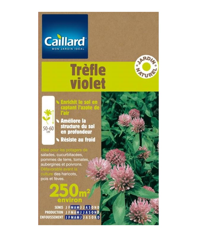 Trefle violet