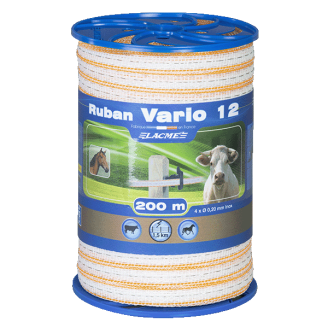 Ruban Vario 12Mm 200M