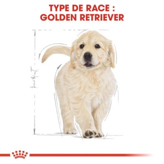 Golden Retriever Junior 12Kg