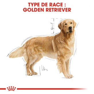 Golden Retriever Adult 12Kg