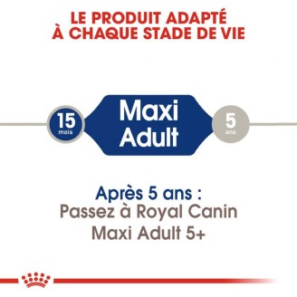 Maxi Adult 4Kg