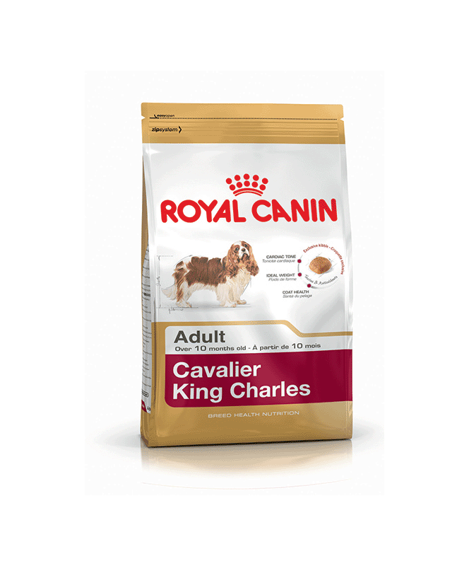 Cavalier King Charles 1,5Kg