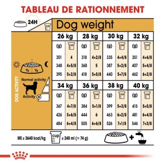 Labrador Adult 12Kg