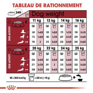 Medium Adult 15Kg