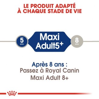 Maxi Adult Mature 5+ 15 Kg