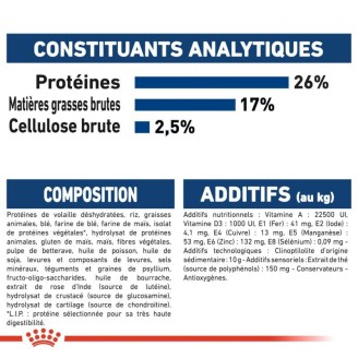 Maxi Adult Mature 5+ 15 Kg