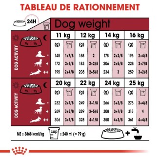 Medium Ageing 10+ 15Kg