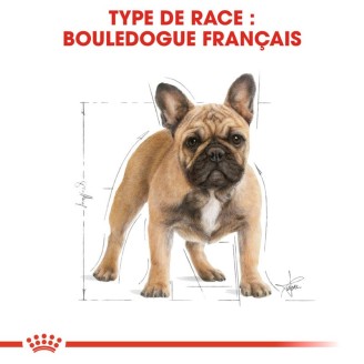 French Bulldog Adult 3Kg