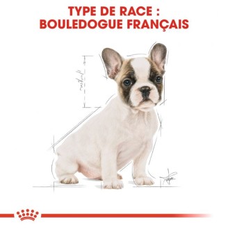 French Bulldog Junior 3Kg