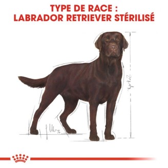 Labrador Adult Sterilised 12Kg