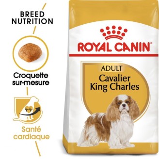 Cavalier King Charles Adult  3Kg