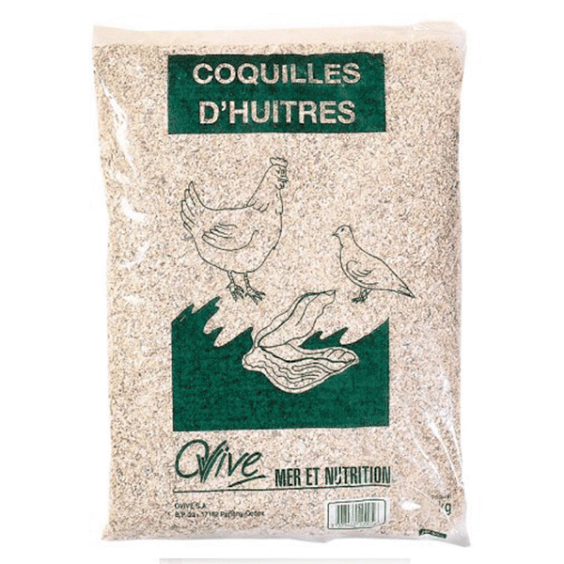 Coquilles dHuitre T32