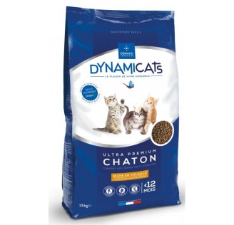 Dynamicat Chaton 1,5Kg