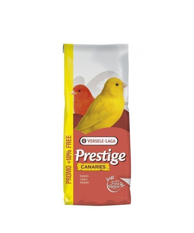 Prestige Canaris 22Kg