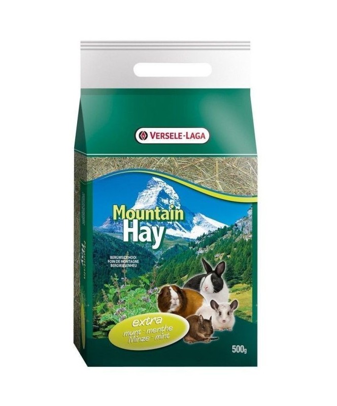 Mountain Hay Menthe 500G