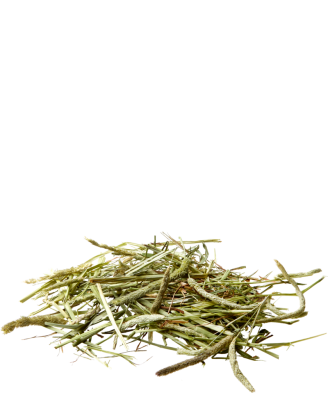 Nature Timothy Hay 1Kg