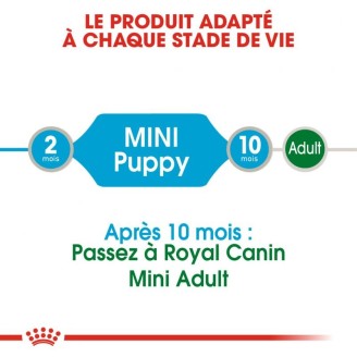 Puppy Mini 12X85G