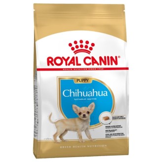 Chihuahua Junior  1,5Kg