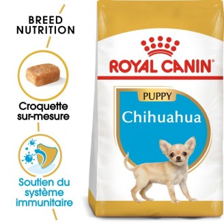 Chihuahua Junior  1,5Kg