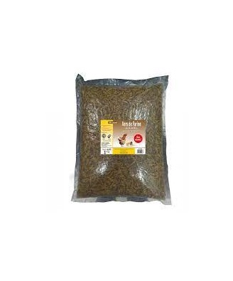 Friandise Poules Vers de Farine 1Kg