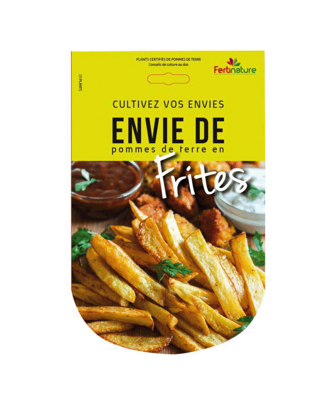 Pommes de terre Frites 15 Plants