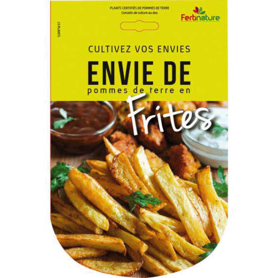 Pommes de terre Frites 15 Plants