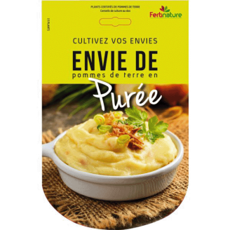 Pommes de terre Purée 15 Plants