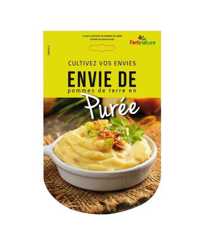 Pommes de terre Purée 15 Plants