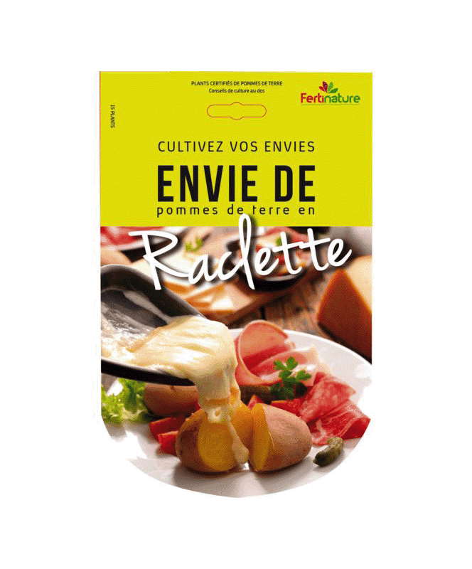 Pommes de terre Raclette 15 Plants