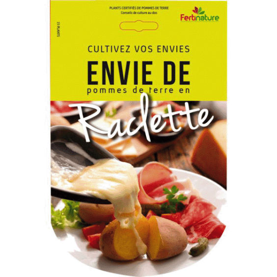 Pommes de terre Raclette 15 Plants