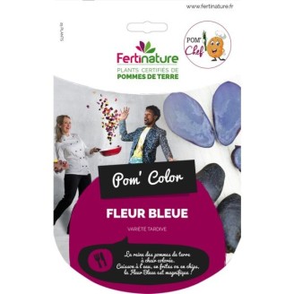 Fleur Bleue 25/32 25 Plants