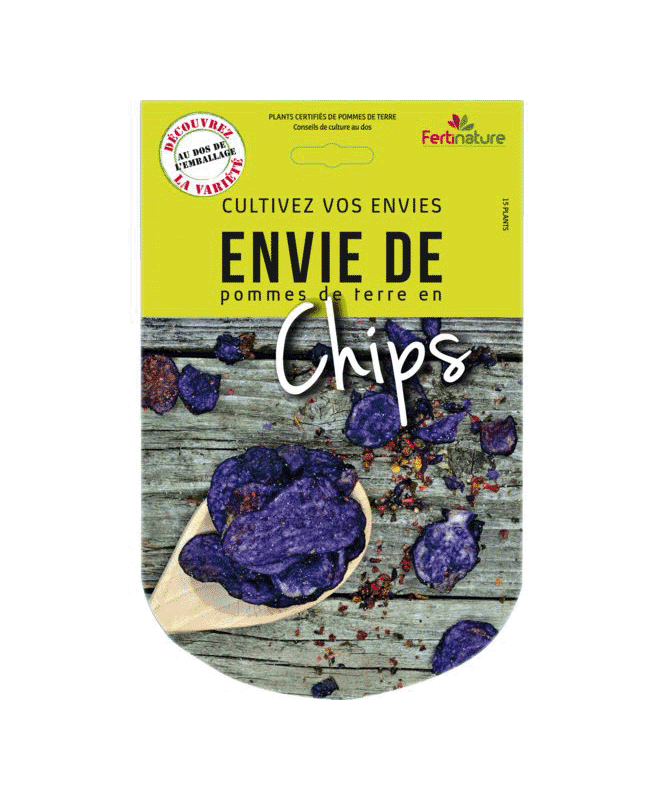 Pommes de terre Chips 15 Plants