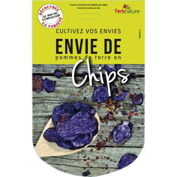 Pommes de terre Chips 15 Plants