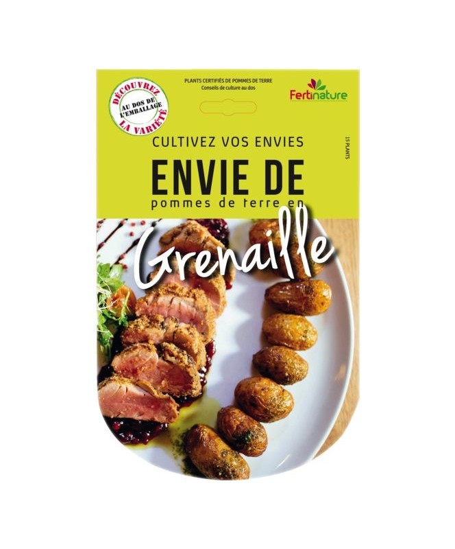 Pommes de terre Grenailles 15 Plants