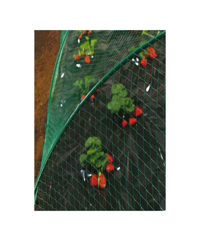 Filet Oiseau 2X10M Birdnet