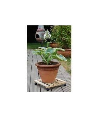 Support Roulant pour Pot Naturel Carré 35X35cm