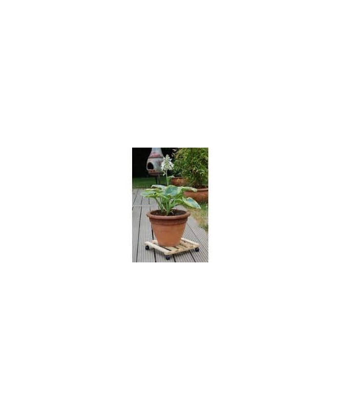 Support Roulant pour Pot Naturel Carré 35X35cm