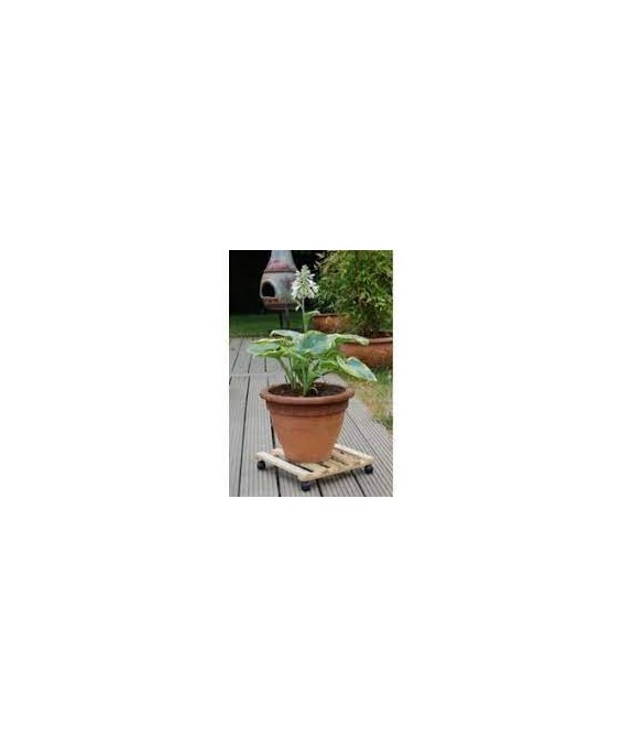 Support Roulant pour Pot Naturel Carré 35X35cm