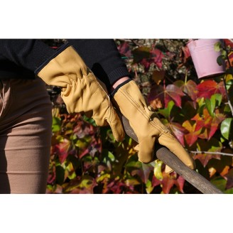 Gants de Jardinage