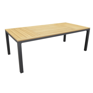 Table Tempo Alu/Teck 210X100