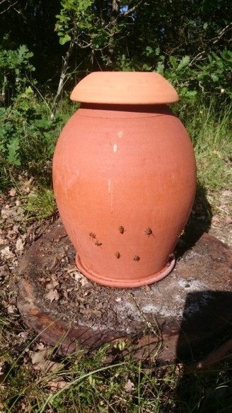 Poterie d'Irrigation Ollas Bee