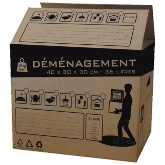 Carton Demenagement 36L