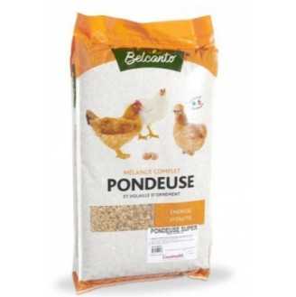 Mélange Pondeuses - 20kg