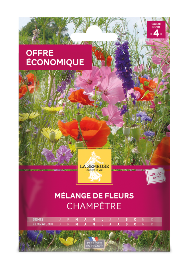 Mélange de fleurs Champêtres 10m2