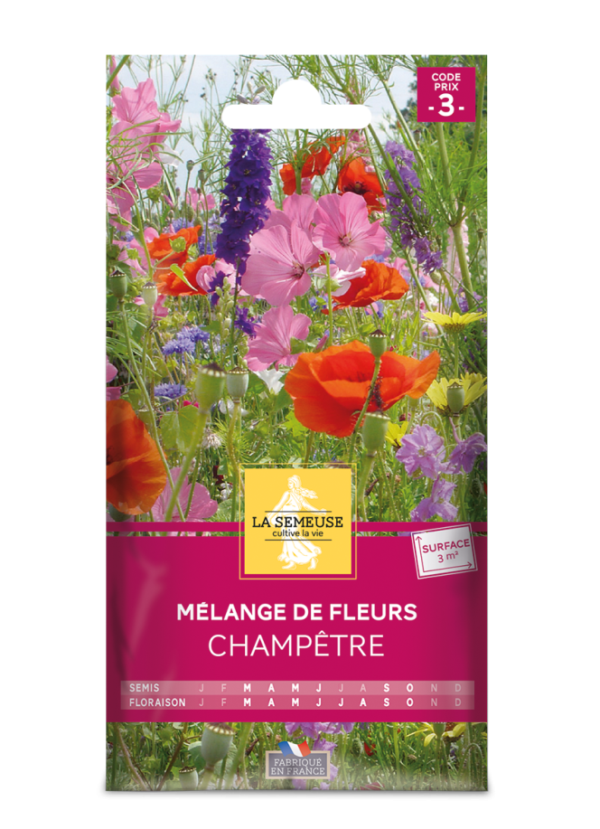 Mélange de fleurs champêtres 3m2