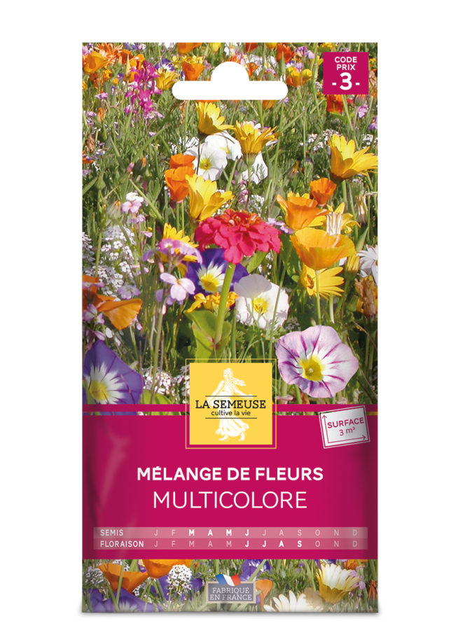 Mélange de fleurs multicolore 3m2