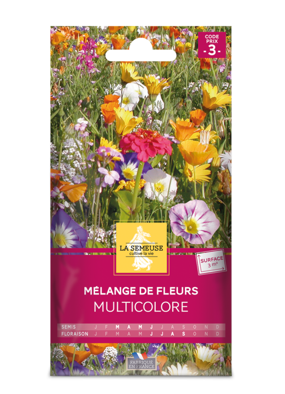 Mélange de fleurs multicolore 3m2