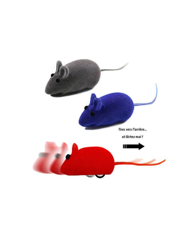 Jouet Chat Friction Mini Souris