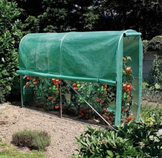 Serre Tunnel Greehouse 3X2X1M